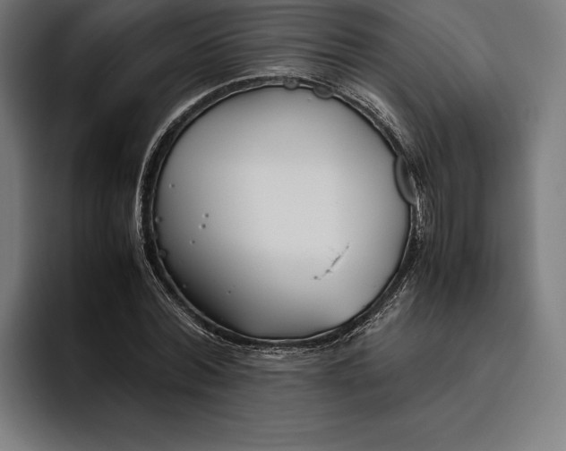 X0000094800780200712071204