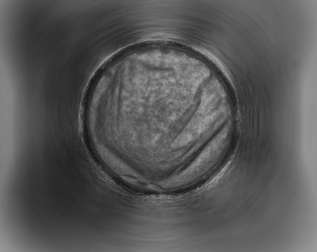 X0000094800783200712071204