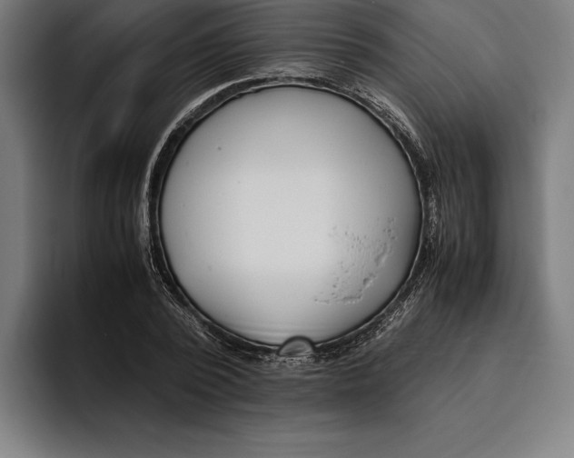 X0000094800784200712071204