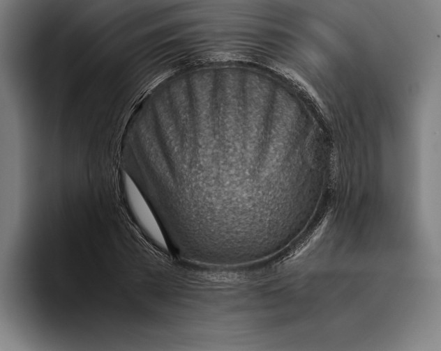 X0000094800785200712071204