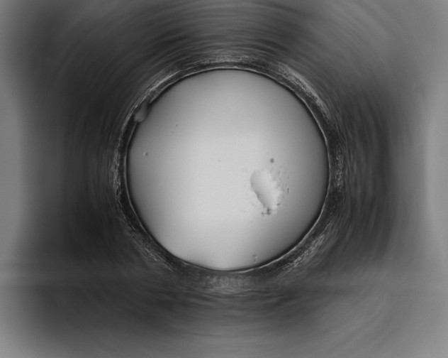 X0000094800786200712071204