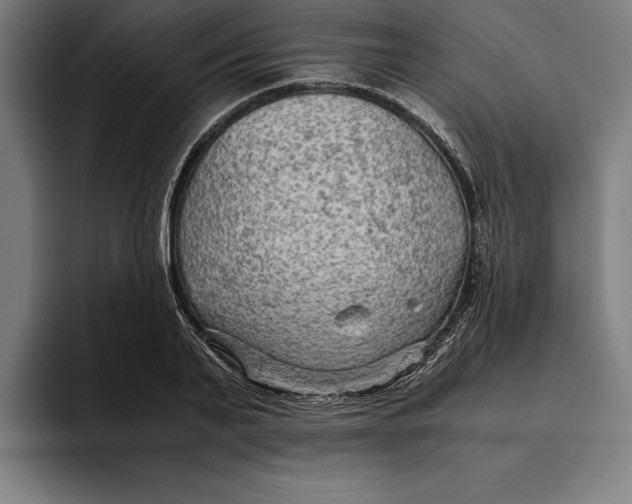 X0000094800791200712071204