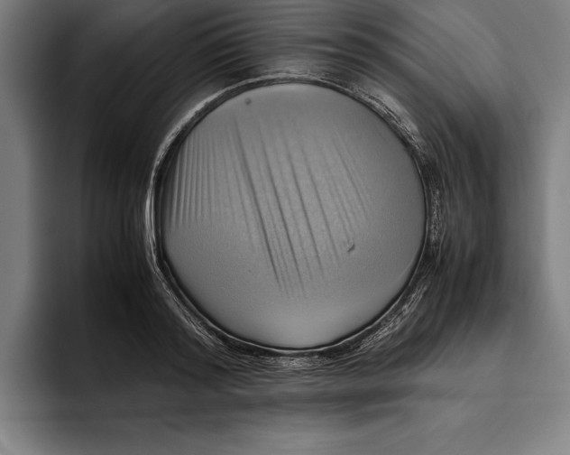 X0000094800796200712071204