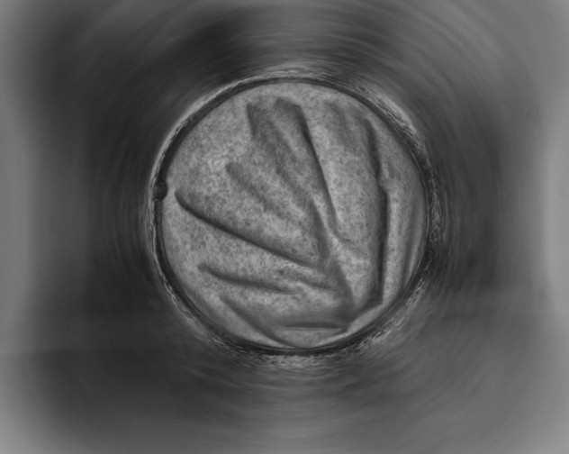 X0000094800800200712071204