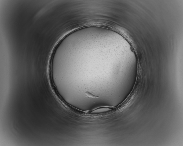 X0000094800803200712071204