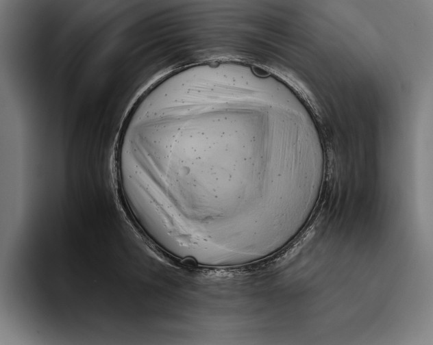 X0000094800806200712071204