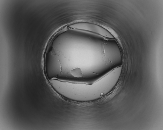 X0000094800807200712071204