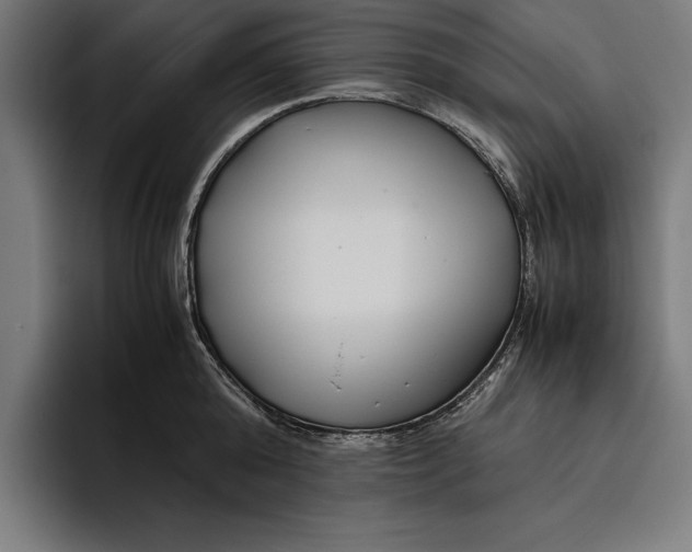 X0000094800808200712071204