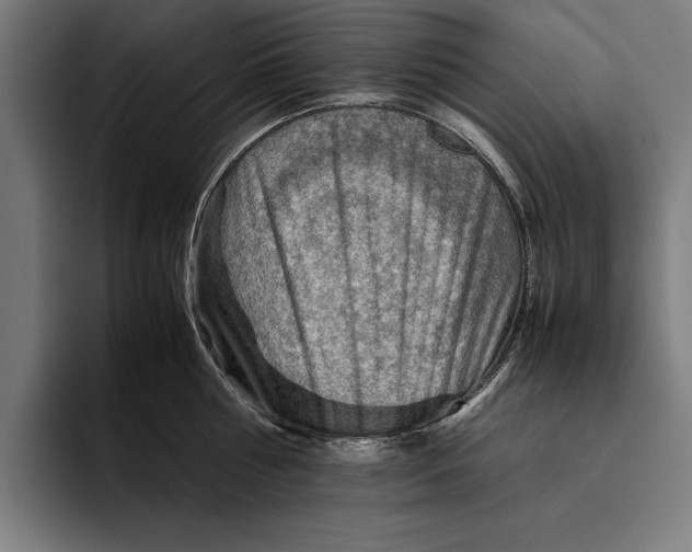 X0000094800810200712071204