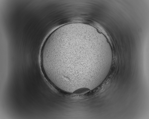 X0000094800811200712071204