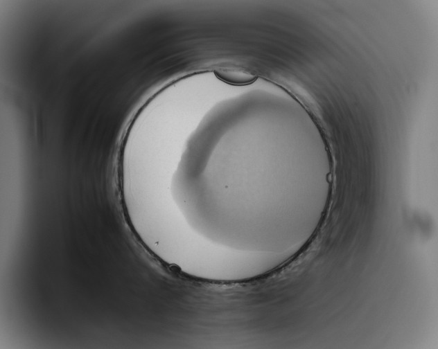 X0000094800816200712071204