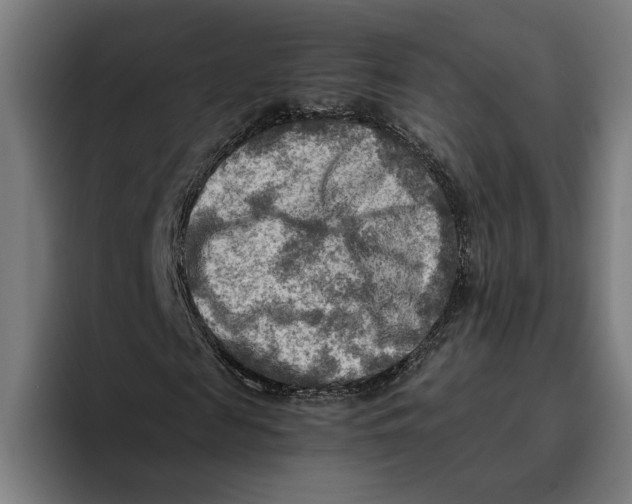 X0000094800817200712071203