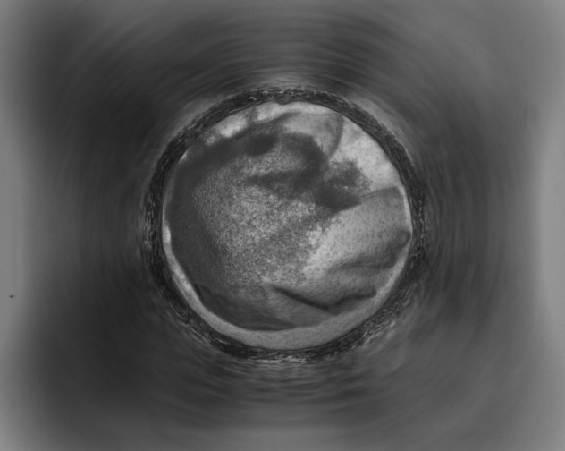 X0000094800823200712071203