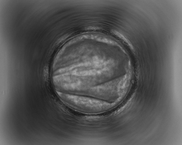 X0000094800825200712071203