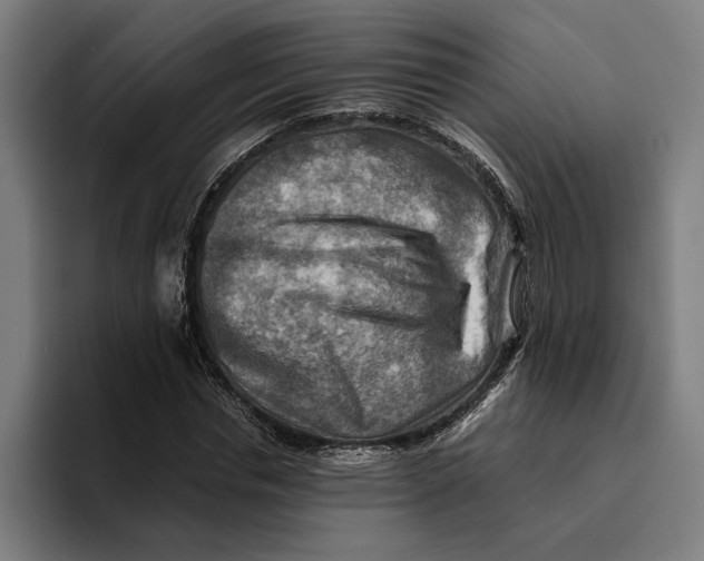 X0000094800826200712071203