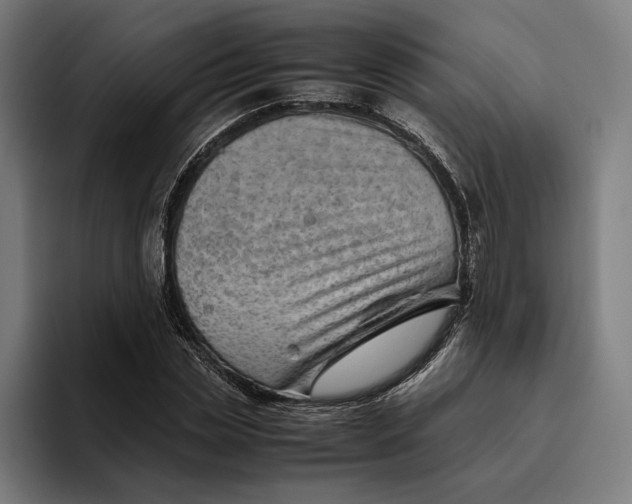 X0000094800829200712071203