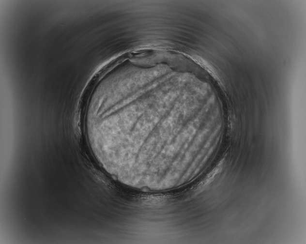 X0000094800830200712071203