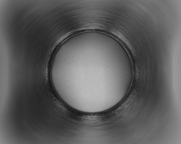 X0000094800834200712071203