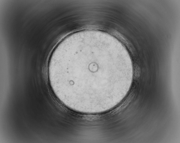 X0000094800836200712071204