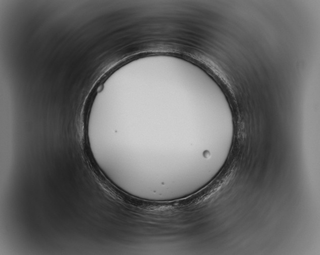 X0000094800837200712071204