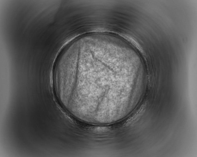 X0000094800839200712071204