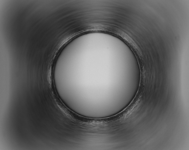 X0000094800842200712071204