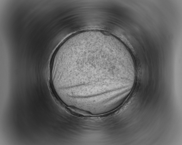 X0000094800844200712071204