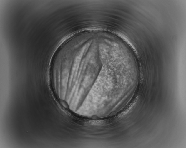 X0000094800845200712071204