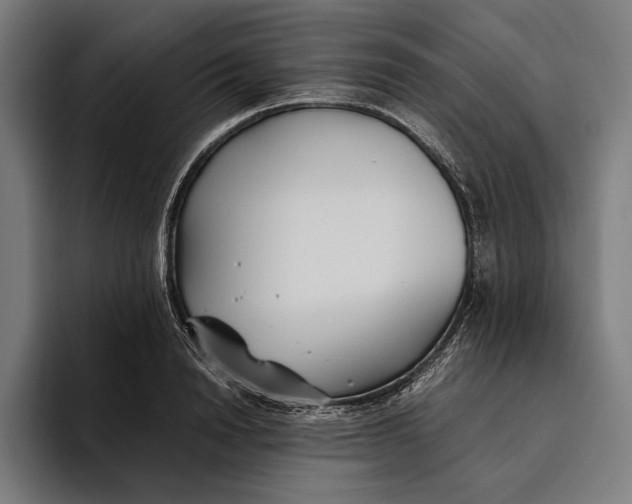 X0000094800846200712071204