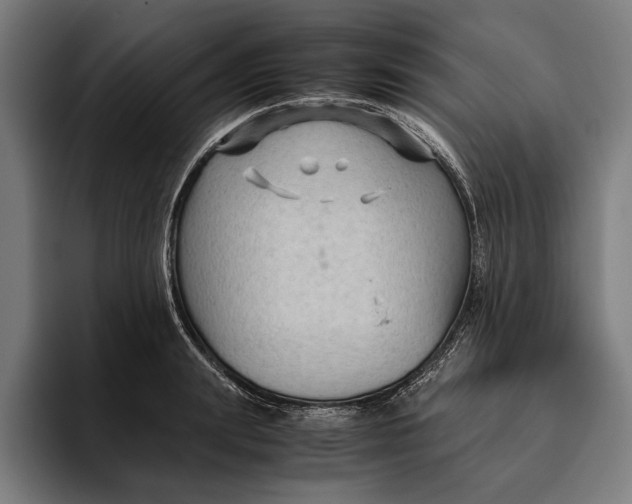 X0000094800847200712071204