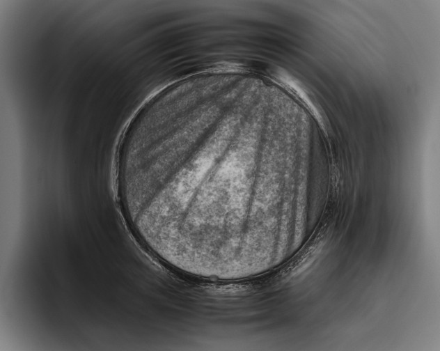 X0000094800851200712071204