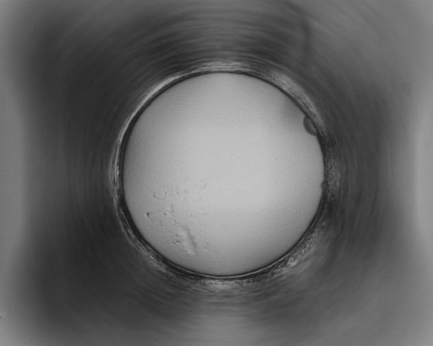 X0000094800852200712071204