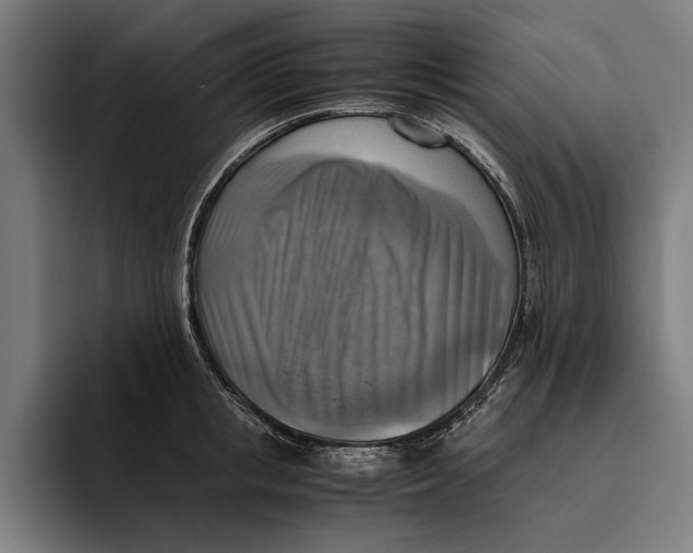 X0000094800853200712071204