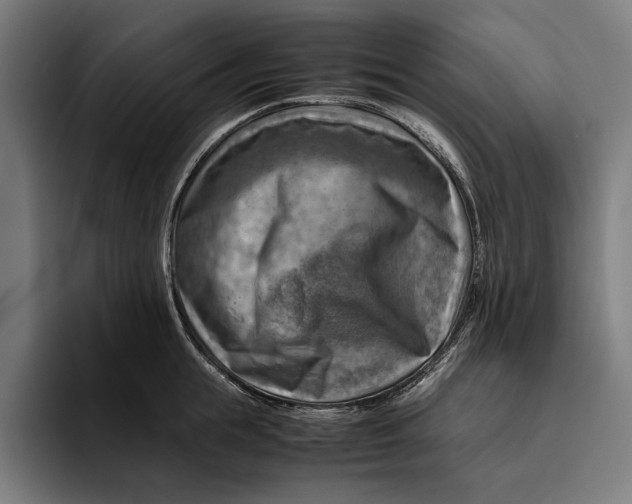 X0000094800855200712071204