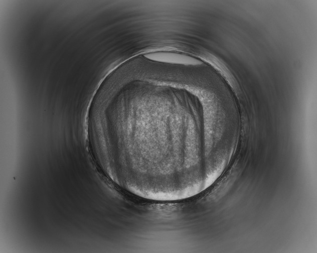 X0000094800858200712071204