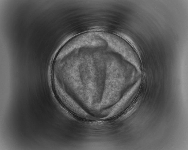 X0000094800859200712071204