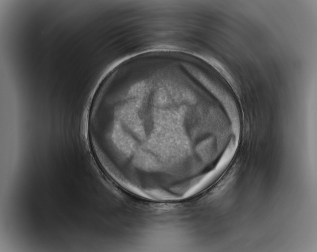 X0000094800862200712071204