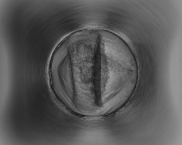 X0000094800864200712071204