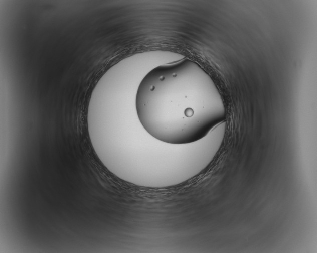 X0000094800868200712071203