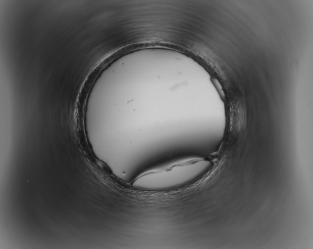 X0000094800876200712071203