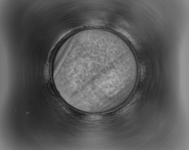 X0000094800878200712071203