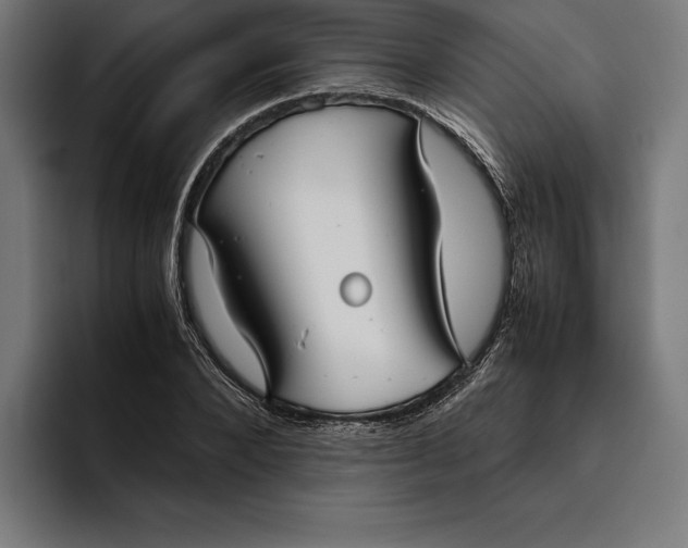 X0000094800880200712071203