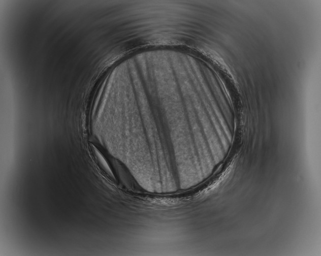 X0000094800881200712071203