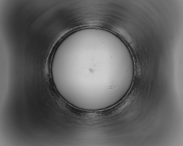 X0000094800883200712071203