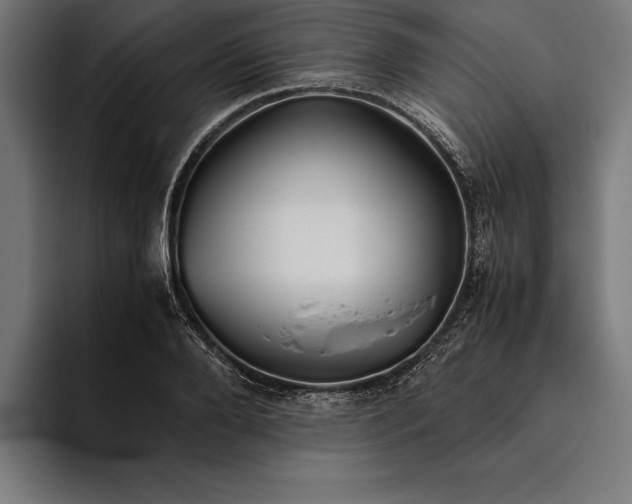 X0000094800888200712071203