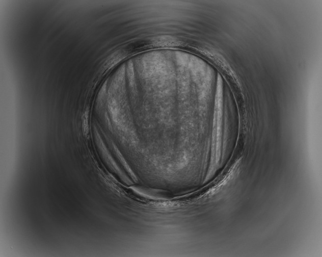 X0000094800889200712071203