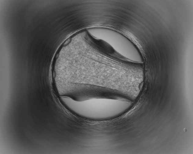 X0000094800892200712071203