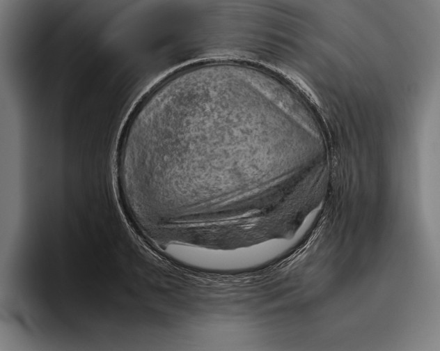 X0000094800895200712071203