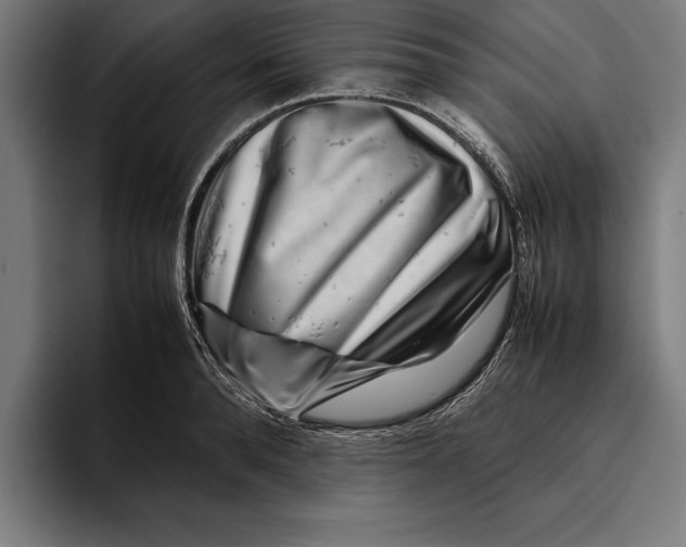 X0000094800896200712071203