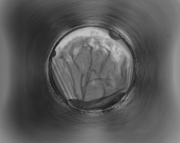 X0000094800899200712071203